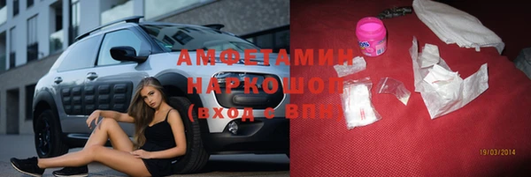 гидра Абаза
