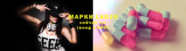 гидра Абаза