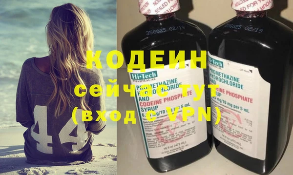 гидра Абаза