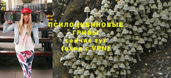 гидра Абаза