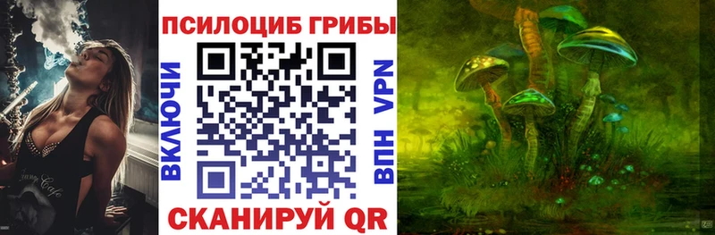 Галлюциногенные грибы Cubensis  Туринск 
